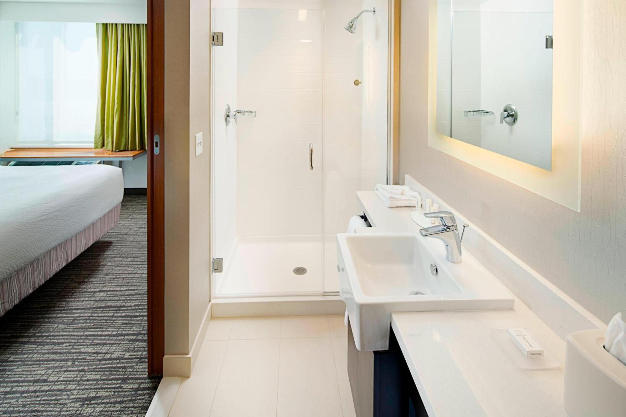 Springhill Suites By Marriott Carle Place Garden City מראה חיצוני תמונה